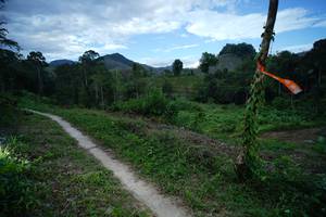 BIB: 
                            <button type="button" onclick="openModal(21792879)" class="btn btn-primary btn-sm float-right btn-popup" data-toggle="modal" data-target=".modal-high-quality">
                        <i class="fas fa-shopping-cart"></i> Add to Cart
                    </button>
                                            <button type="button" onclick="isThisMe(21792879, true)" class="btn btn-success btn-sm float-right btn-popup btn-isme hidden" data-toggle="tooltip" data-placement="bottom" title="นี่คือรูปของคุณใช่ไหม คลิกที่นี่เพื่อเอาเข้าอัลบั้ม">
                        <i class="fas fa-plus"></i> Add to album
                    </button>
                    <button type="button" onclick="isThisMe(21792879, false)" class="btn btn-warning btn-sm float-right btn-popup btn-isnotme hidden">
                        <i class="fas fa-ban"></i> Remove from album
                    </button>